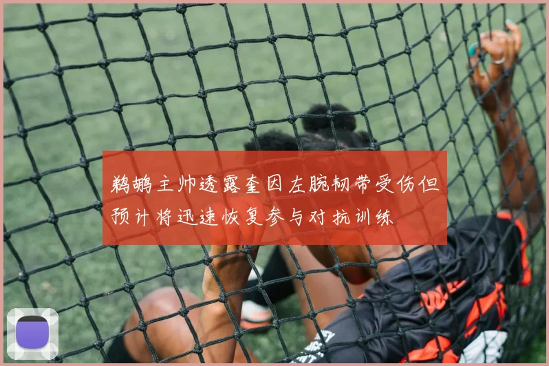 鹈鹕主帅透露奎因左腕韧带受伤但预计将迅速恢复参与对抗训练